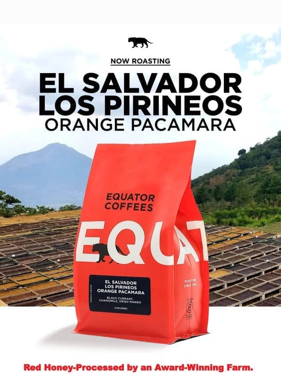 Orange Pacamara Coffee from Los Pirineos