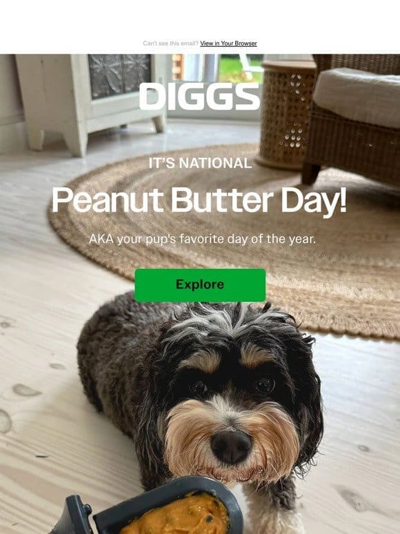 PSA: It’s your pup’s favorite day of the year.