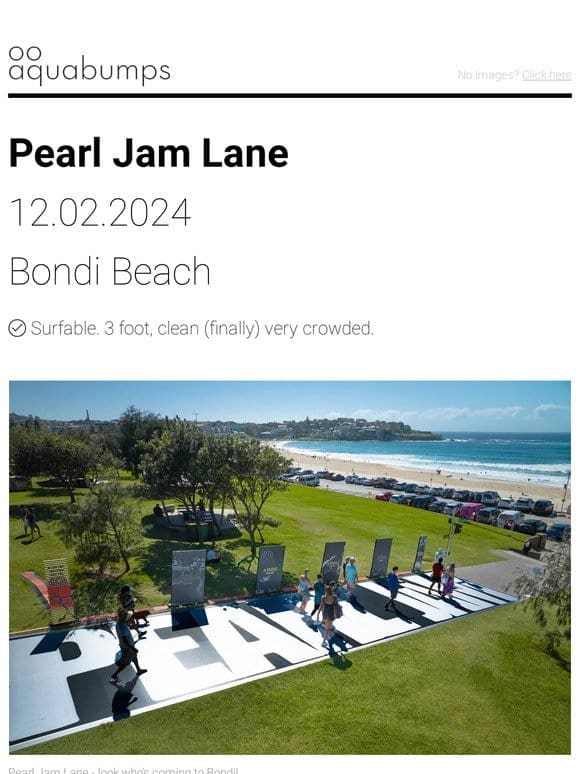 : : Pearl Jam Lane