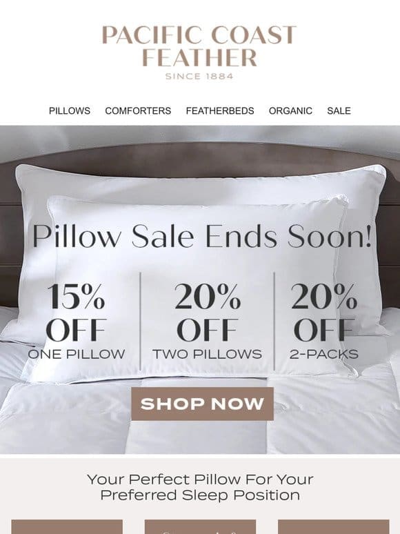 Pillows Are up to 20% OFF For a Limited Time!