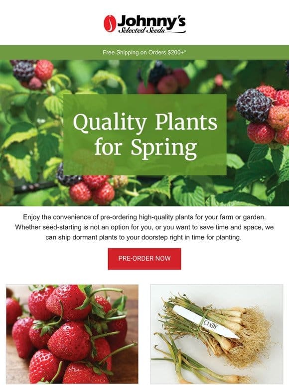 Pre-Order Plants Now for Best Availability