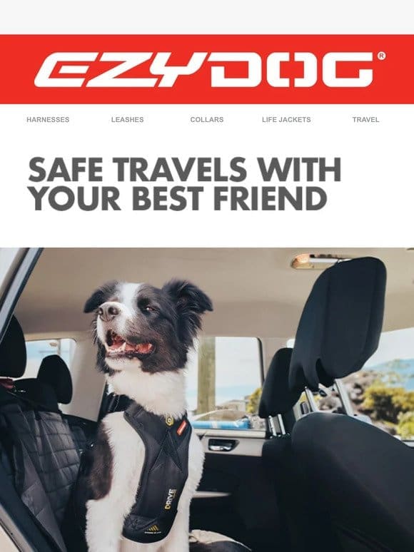 Safe Travels With Your Best Friend