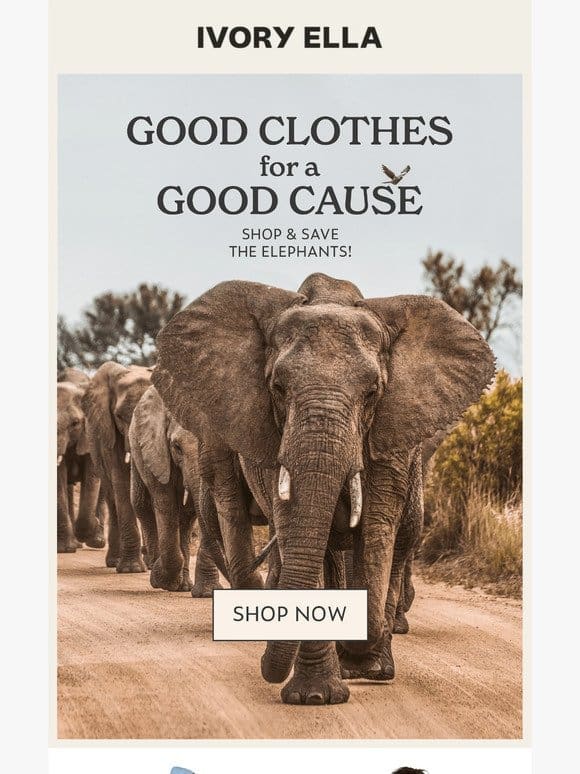 Shop Ivory Ella for Good Clothes for a Good Cause and Save the Elephants!
