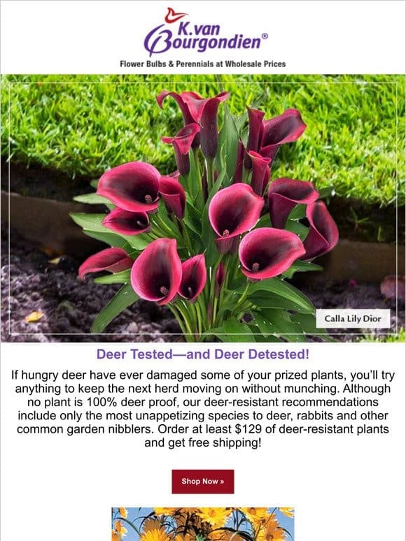 Take Your Garden off Their Menu
