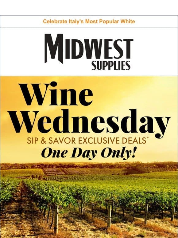 The Most Popular White Wine Now 37% Off!