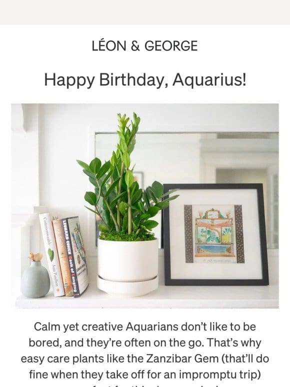 The perfect gift for Aquarius