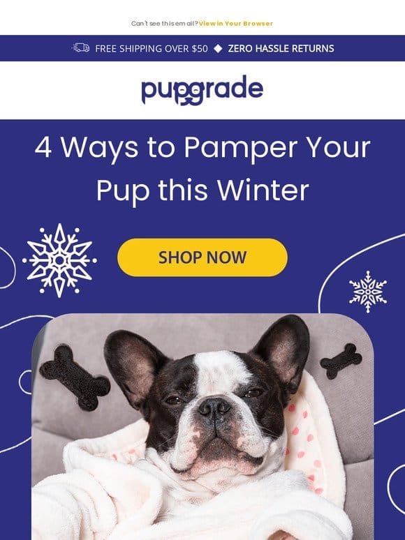 Top 4 Winter Grooming Tips for Your Furry Friend