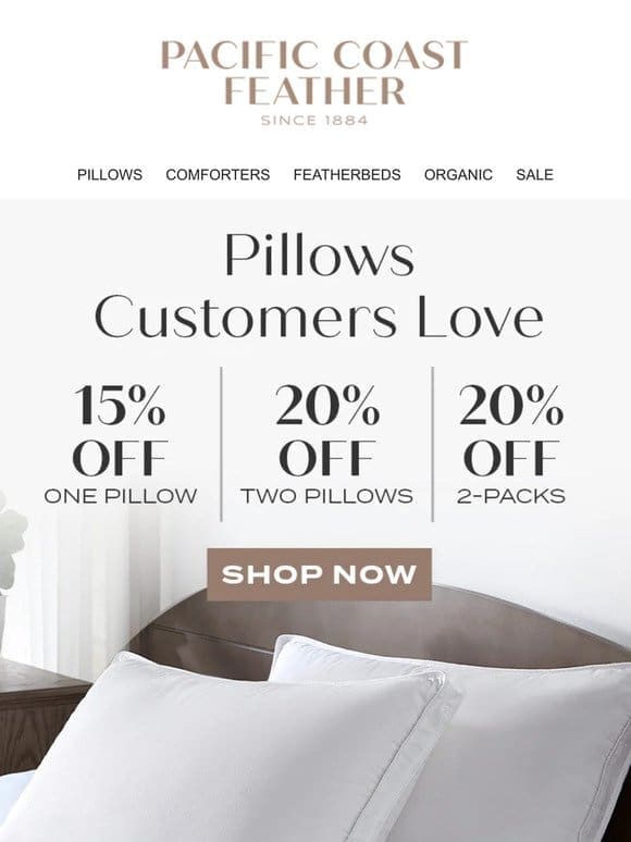 Treat Yourself to Goose Down Pillows