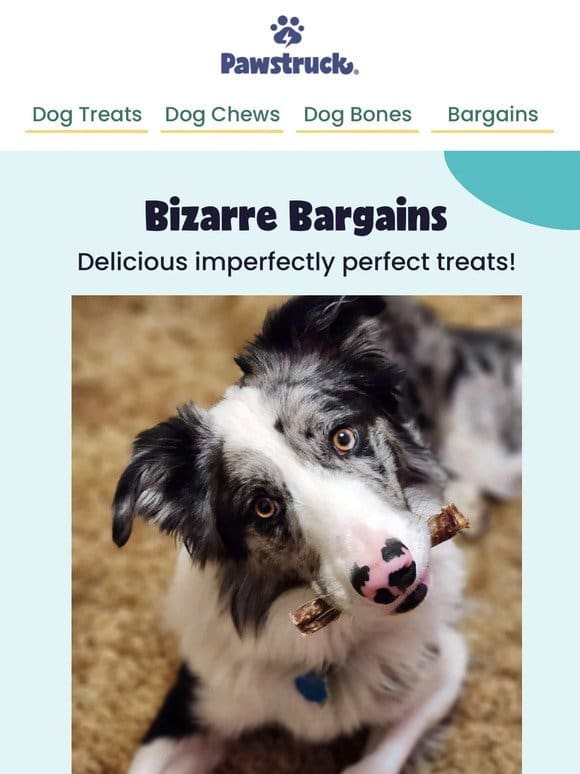 Treat your dog while you score savings!