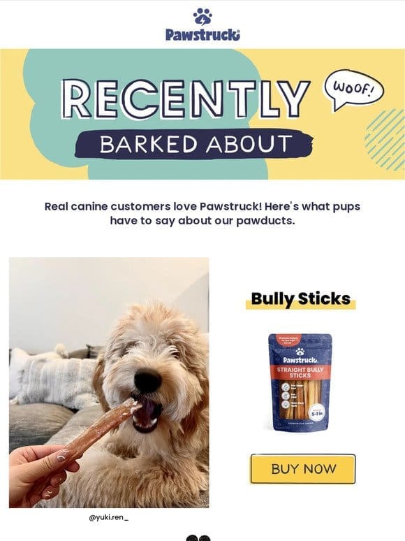 Trending at Pawstruck this month!