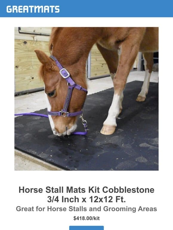 Uncover the Secret to Happy Horses with Pebble Texture Mats