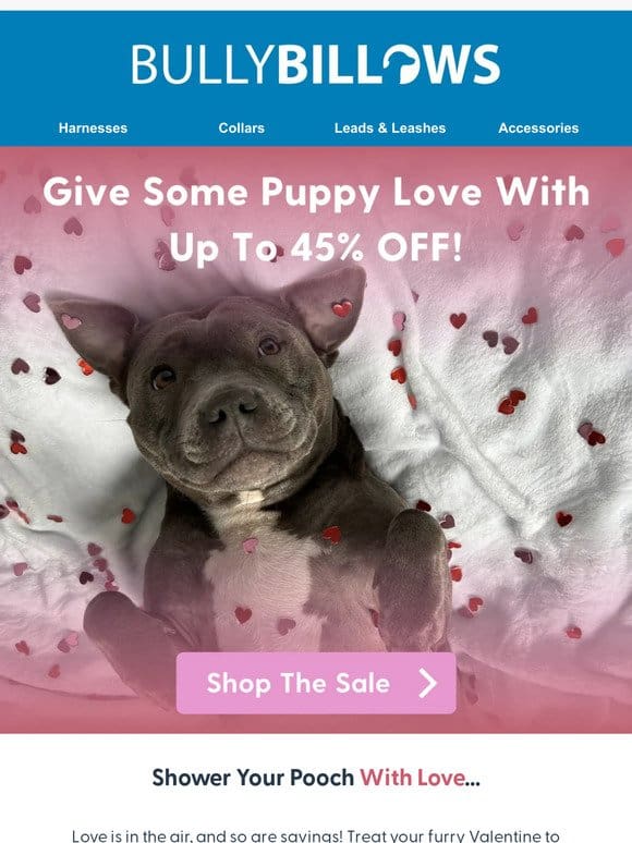 Valentine’s Sale – Up To 45% OFF!