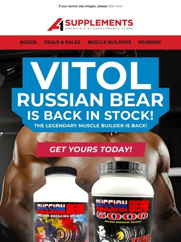 Vitol Russian Bear is Back in Stock!