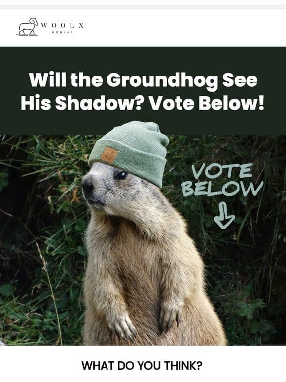 Vote for Groundhog Day!