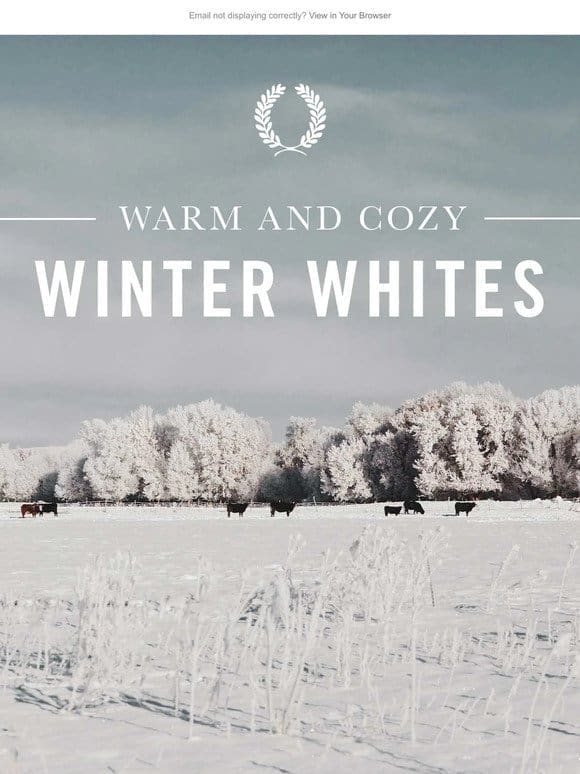 Warm & Cozy   Winter Whites