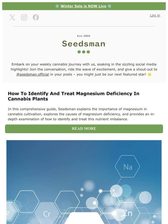 Weekly Update: Learn How To Identify & Treat Magnesium Deficiency
