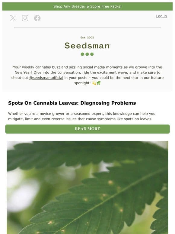 Weekly Update: Spots On Cannabis Leaves – Diagnosing Problems