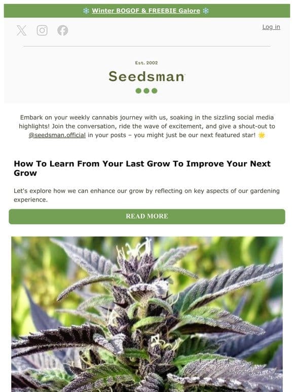 Weekly Update from Seedsman
