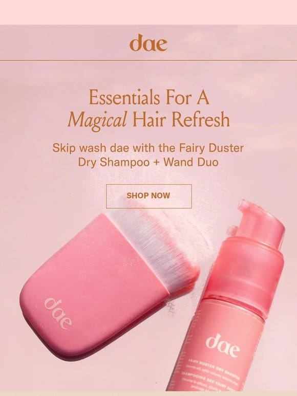 What’s inside the Fairy Duster Dry Shampoo Duo?  ‍♂️