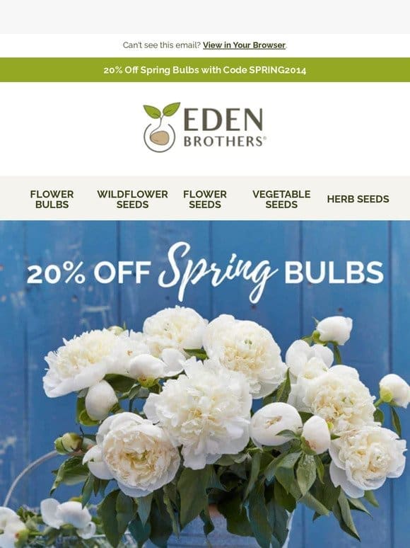 ⚡️️️[FLASH SALE] 20% off Spring Bulbs!