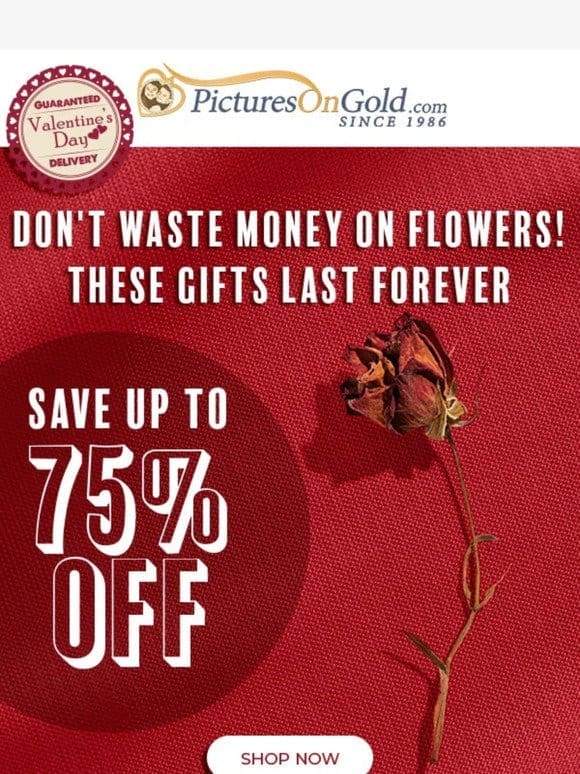 ❤️ Hey， Don’t Waste Money on Flowers Again!