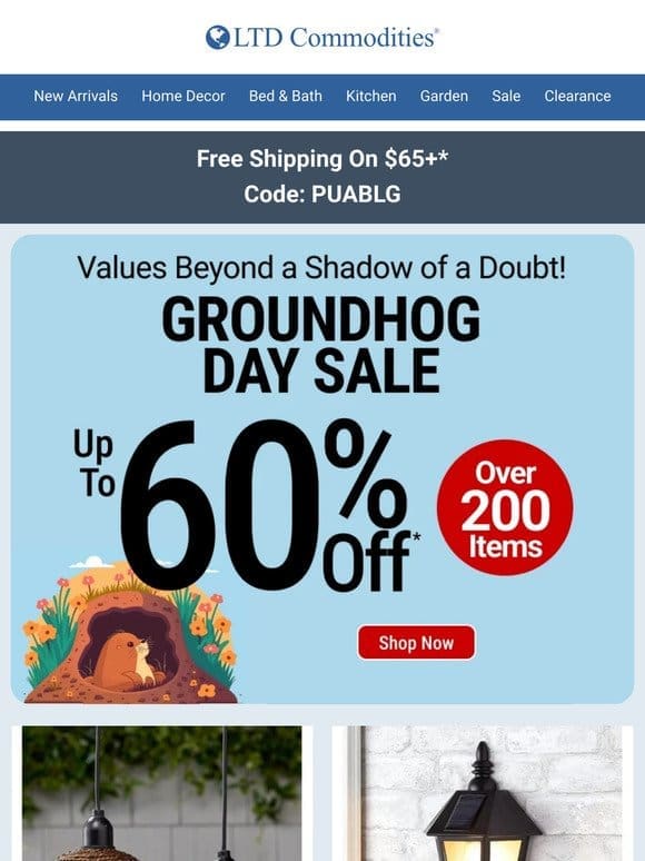 ️ Groundhog Predicts a Sale: 200+ Items， Up to 60% Off!