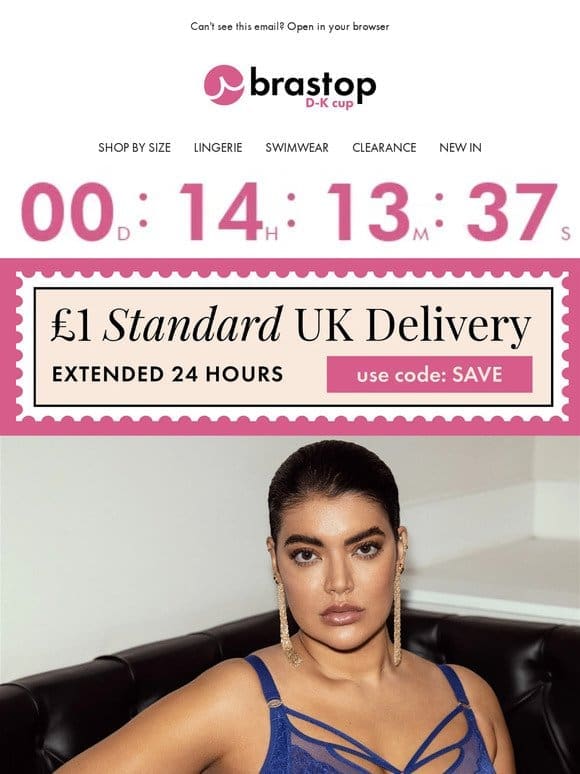 £1 UK Standard Delivery EXTENDED 24 HOURS