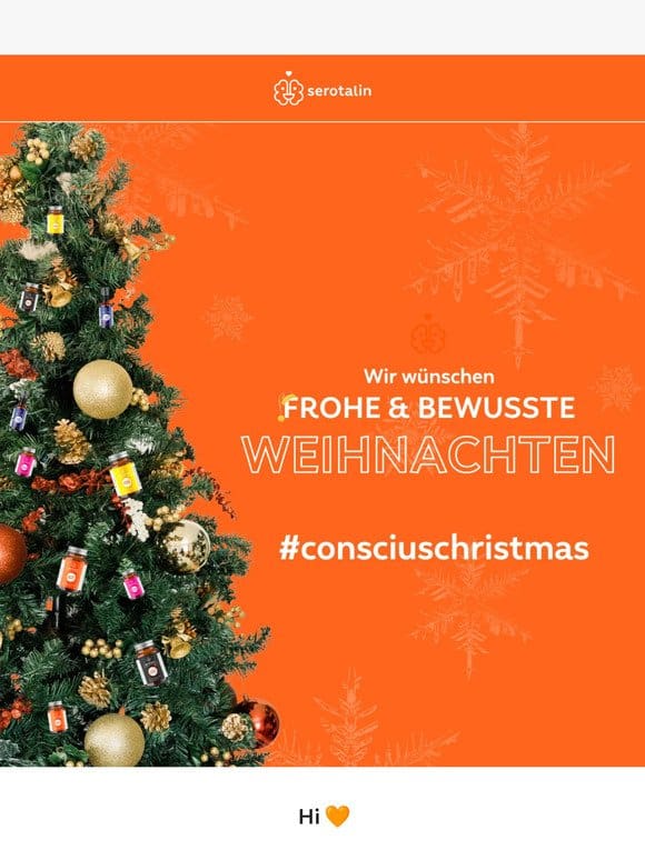 -10% | Conscious christmas!  ✨