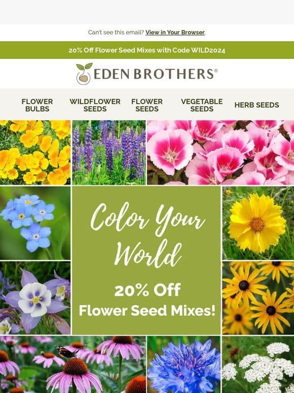 20% Off Flower & Wildflowers Seeds!