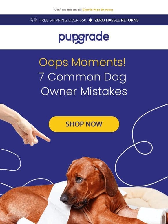 7 Honest Mistakes Every Dog Owner Makes (and How to Fix Them)!