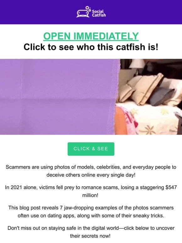 7 Online Catfishers