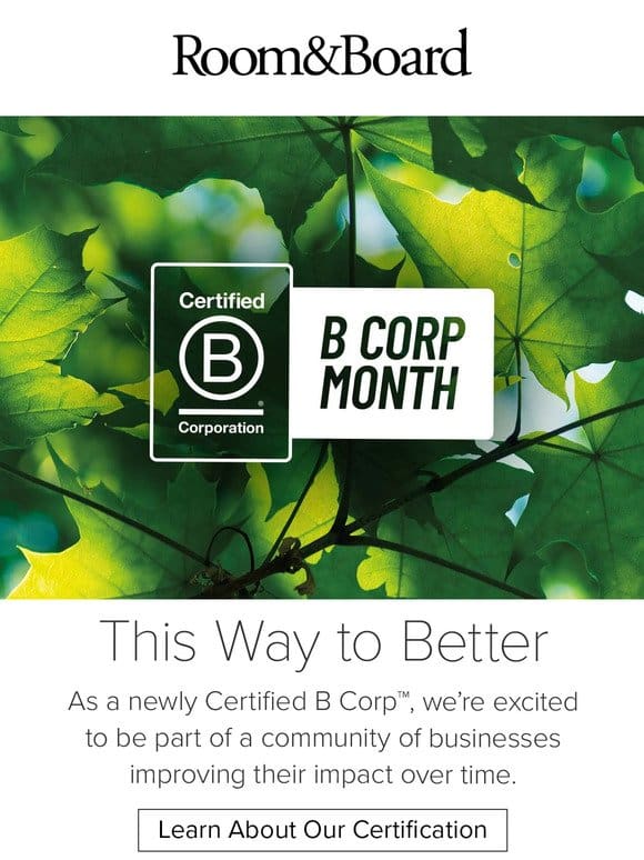 Celebrate B Corp month