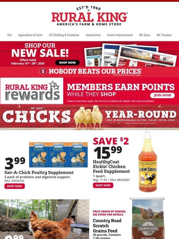 Cluckin’ Great Deals! Whether You’re Just Getting Started or are a Seasoned Poultry Pro – We’ve Got You Covered!