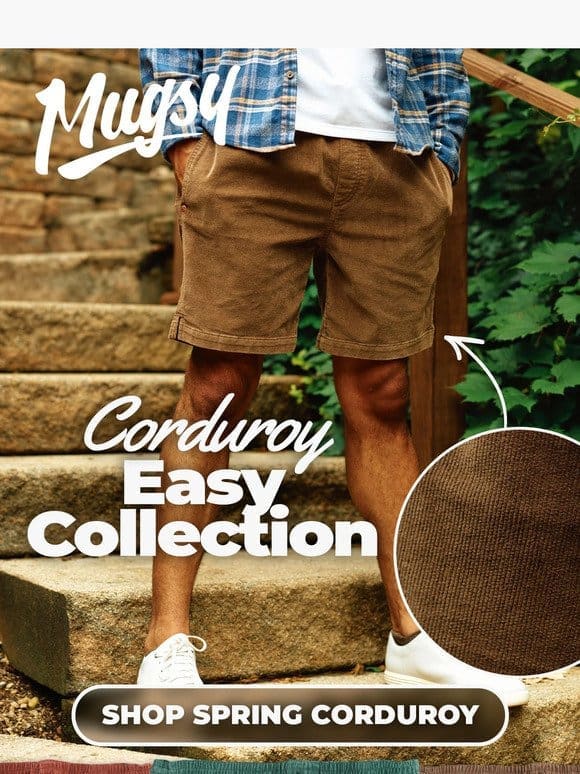 Corduroy Easy Collection IS BACK
