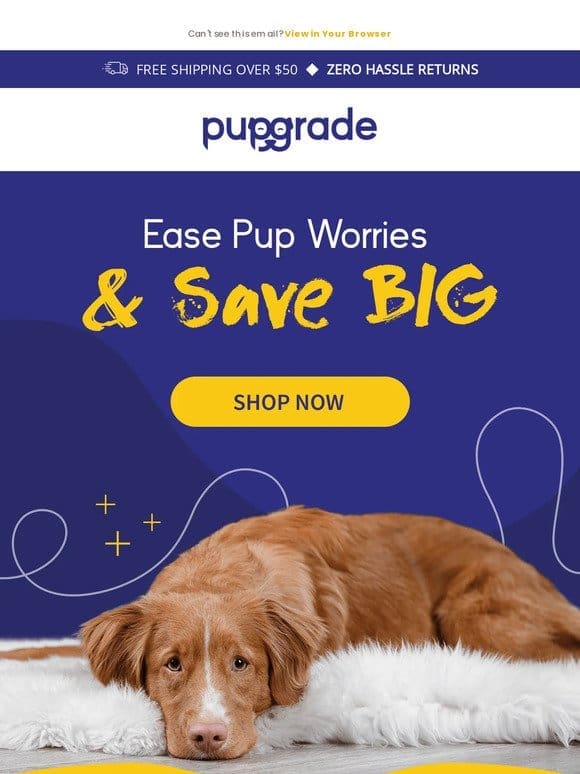 Don’t Miss Out! 15% Flash Sale on PupGrade Anxiety Chews!