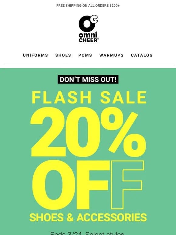 Don’t Miss This   20% Off Flash Sale