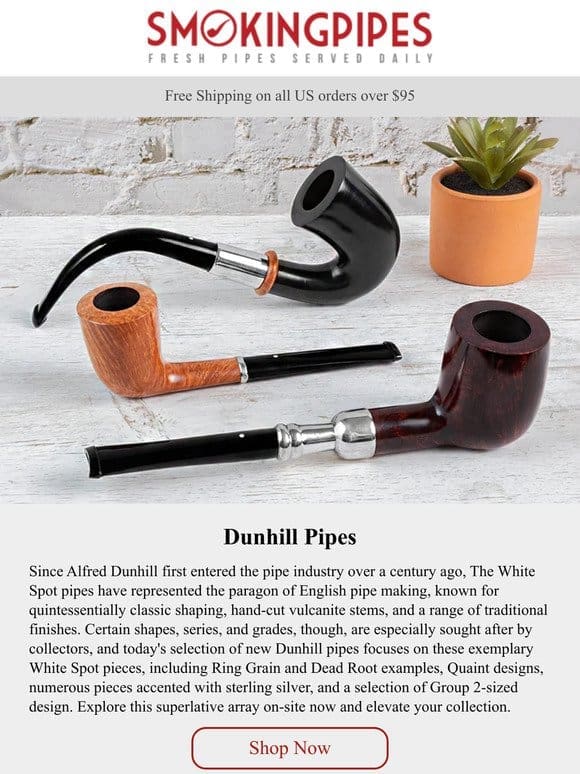 Dunhill Pipes | Ring Grain， Dead Root， and Quaint