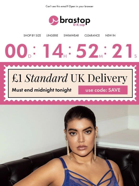 FINAL HOURS for £1 Standard Delivery