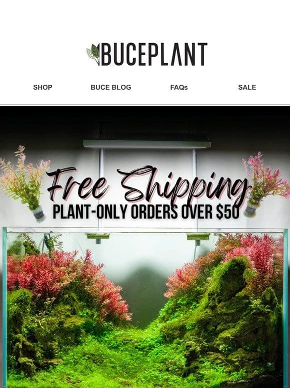 Free Plant Shipping Unlocked   + Plants Restocked