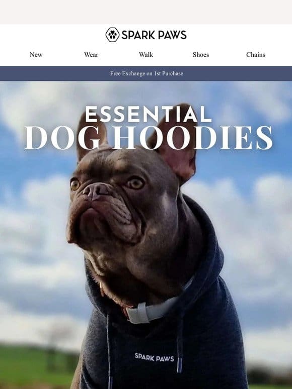 Fresh Hoodies for Your Pup