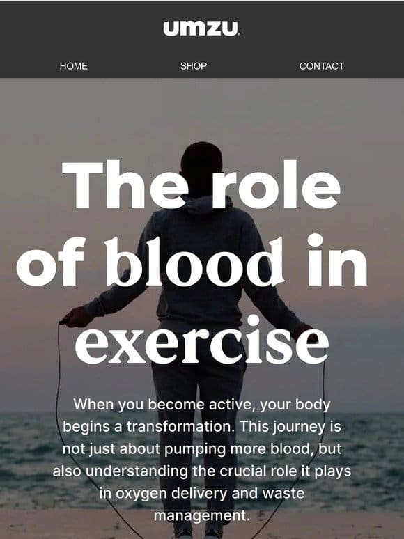 From Lungs to Muscles: The Journey of Oxygen During Exercise
