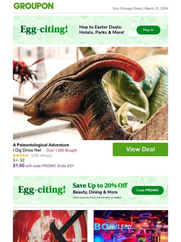 Get up to 20% off! A Paleontological Adventure