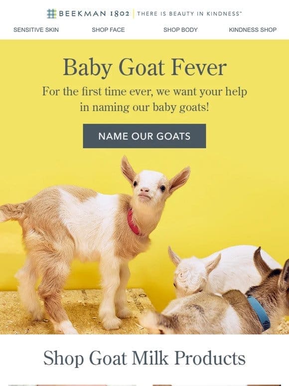 Give Us Your Best Baby (Goat) Names!