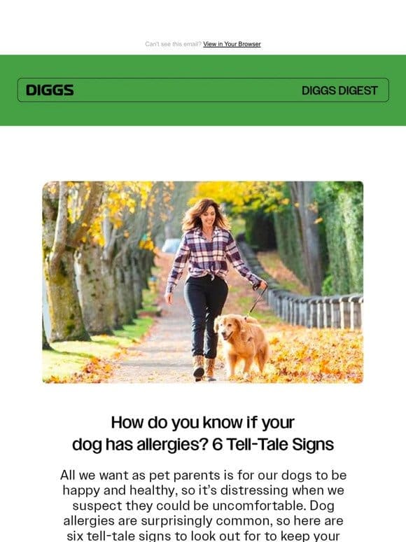How Can I Tell If My Dog Has Allergies? 6 Tell-Tale Signs.