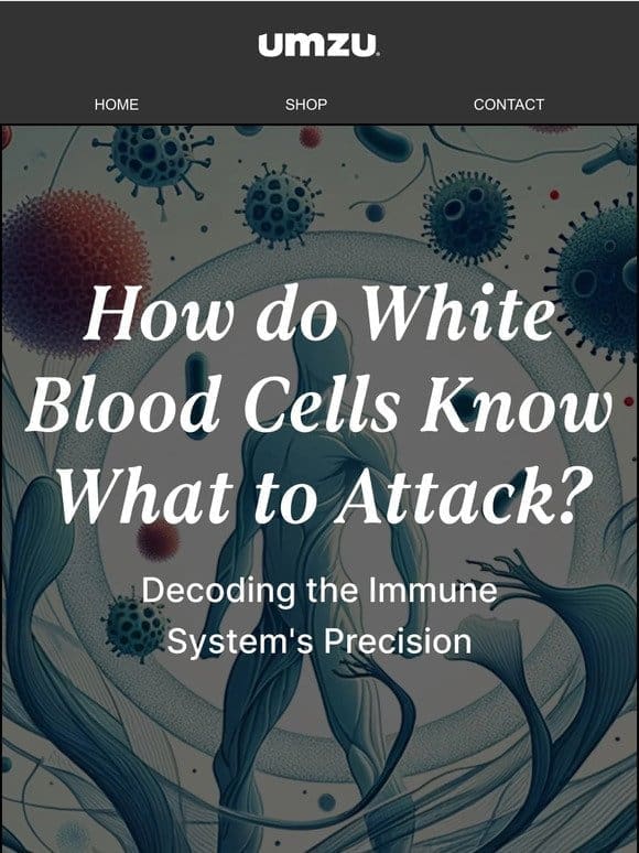 How do White Blood Cells Know What to Attack?
