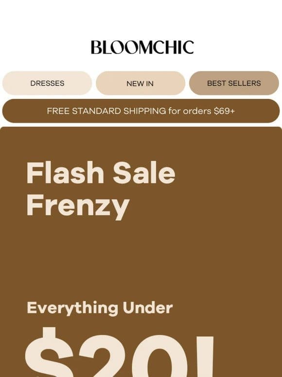 Hurry， Everything Under $20: Flash Sale in Progress!