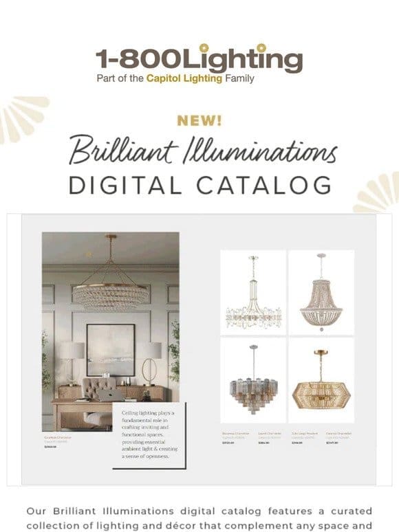 Illuminate Your Day ✨ Explore our NEW Catalog!