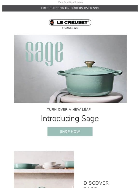 Introducing Sage: Spring’s Newest Color