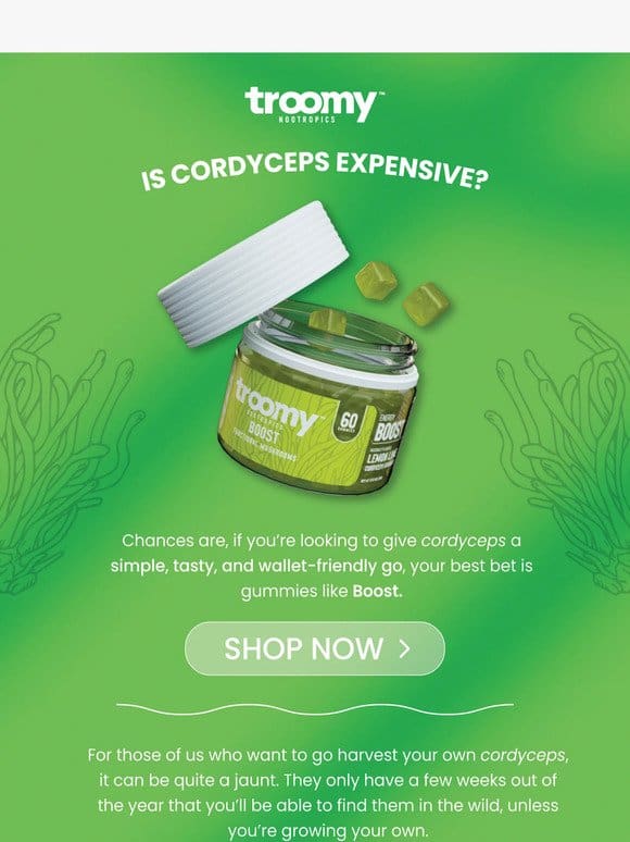 Is Cordyceps Expensive?