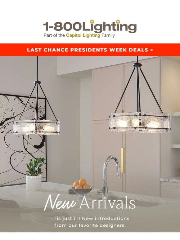 LAST CHANCE: Presidents Day Deals & New Arrivals